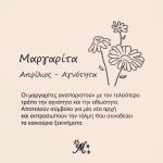 Κολιέ πένα κιθάρας με λουλούδι γέννησης - Image 6