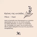Κολιέ πένα κιθάρας με λουλούδι γέννησης - Image 7