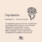 Κολιέ πένα κιθάρας με λουλούδι γέννησης - Image 3
