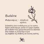 Κολιέ πένα κιθάρας με λουλούδι γέννησης - Image 4