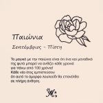 Κολιέ πένα κιθάρας με λουλούδι γέννησης - Image 11