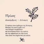 Κολιέ πένα κιθάρας με λουλούδι γέννησης - Image 14