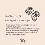 Κολιέ πένα κιθάρας με λουλούδι γέννησης - Image 12