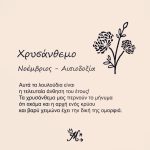 Κολιέ πένα κιθάρας με λουλούδι γέννησης - Image 13